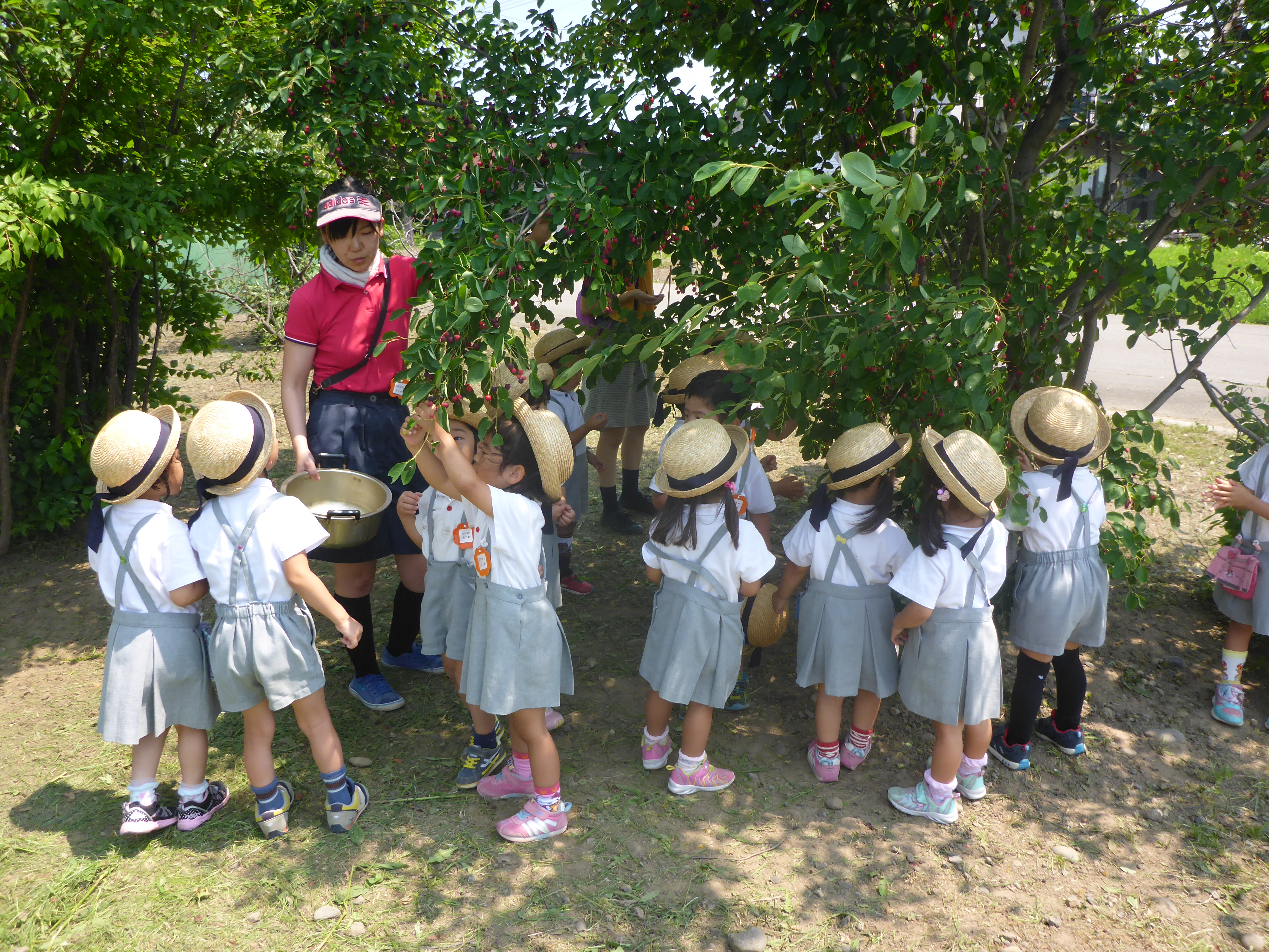 園の紹介 | 旭川あゆみ幼稚園